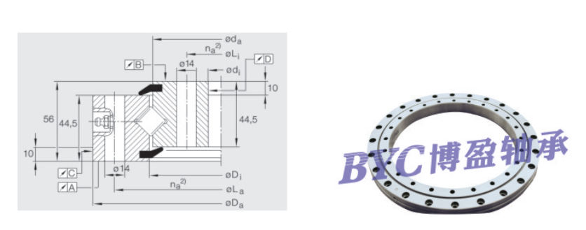 蕾丝视频下载污
