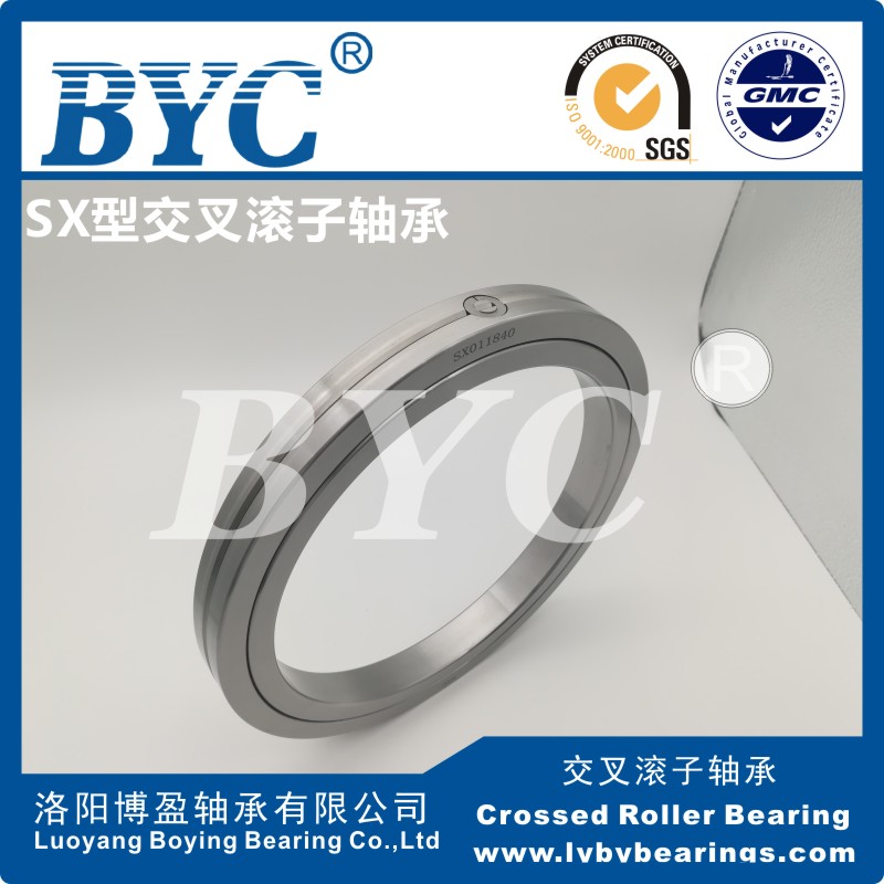 蕾丝视频下载污